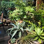 Oda ve Kahvaltı B &b Yuupke Noord-limburg Venlo Roermond