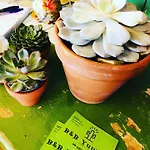 Oda ve Kahvaltı B &b Yuupke Noord-limburg Venlo Roermond