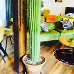 Oda ve Kahvaltı B &b Yuupke Noord-limburg Venlo Roermond