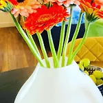 B &b Yuupke Noord-limburg Venlo Roermond Maasbree