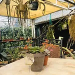 B &b Yuupke Noord-limburg Venlo Roermond Oda ve Kahvaltı 4*