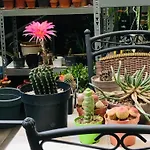 B &b Yuupke Noord-limburg Venlo Roermond Oda ve Kahvaltı Maasbree