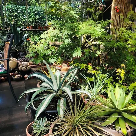 Alojamento de Acomodação e Pequeno-almoço B &b Yuupke Noord-limburg Venlo Roermond