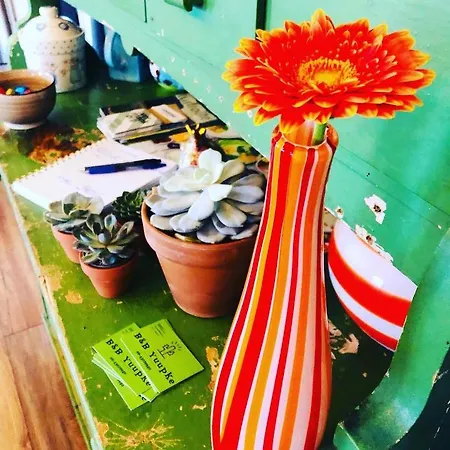 B &b Yuupke Noord-limburg Venlo Roermond Alojamento de Acomodação e Pequeno-almoço Maasbree