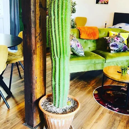 Alojamento de Acomodação e Pequeno-almoço B &b Yuupke Noord-limburg Venlo Roermond