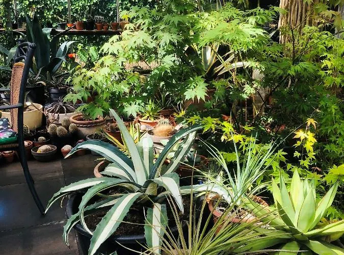 Bed & Breakfast B &b Yuupke Noord-limburg Venlo Roermond