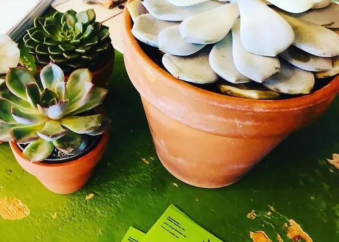 Bed & Breakfast B &b Yuupke Noord-limburg Venlo Roermond