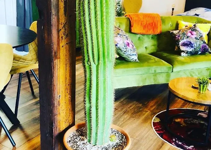 Bed & Breakfast B &b Yuupke Noord-limburg Venlo Roermond