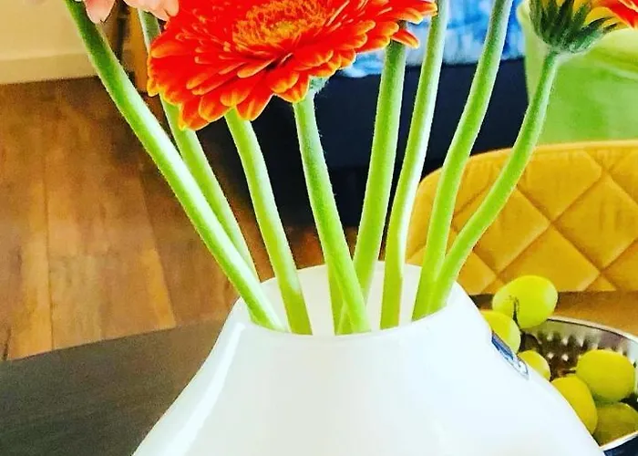 B &b Yuupke Noord-limburg Venlo Roermond Maasbree