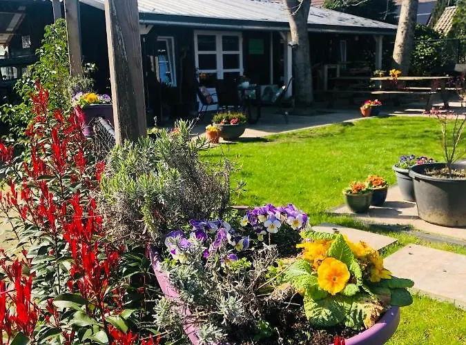 Bed & Breakfast B &b Yuupke Noord-limburg Venlo Roermond 4*