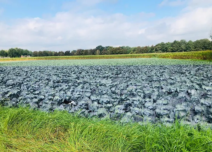 B &b Yuupke Noord-limburg Venlo Roermond 4*