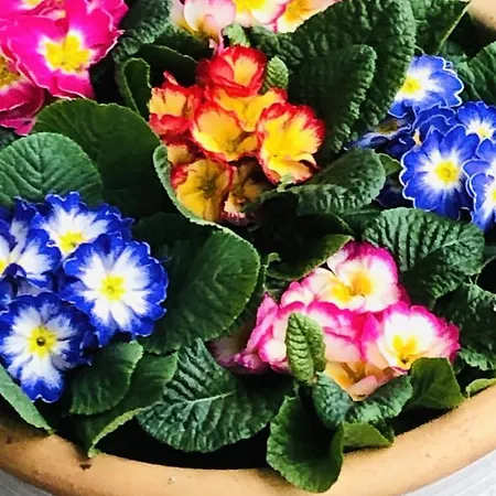 B &b Yuupke Noord-limburg Venlo Roermond