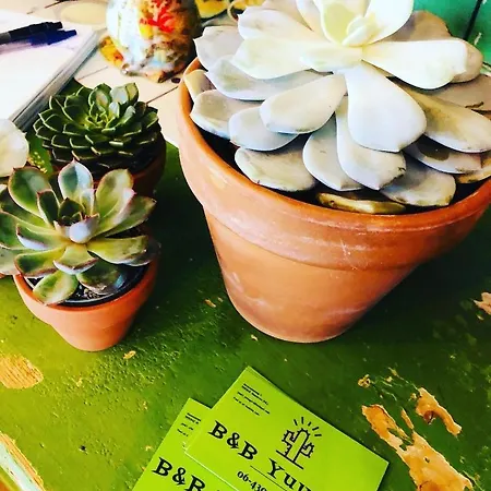 Bed & Breakfast B &b Yuupke Noord-limburg Venlo Roermond