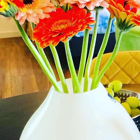 B &b Yuupke Noord-limburg Venlo Roermond Maasbree