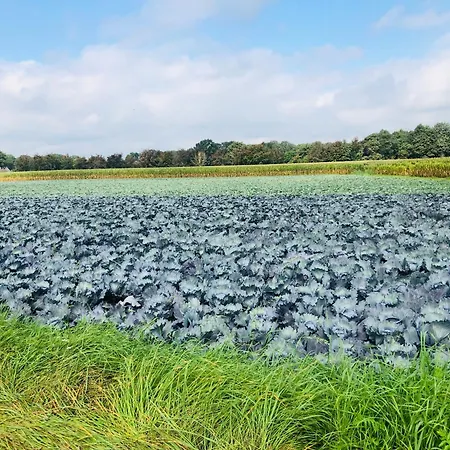 B &b Yuupke Noord-limburg Venlo Roermond 4*