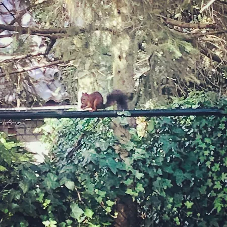 B &b Yuupke Noord-limburg Venlo Roermond Bed & Breakfast