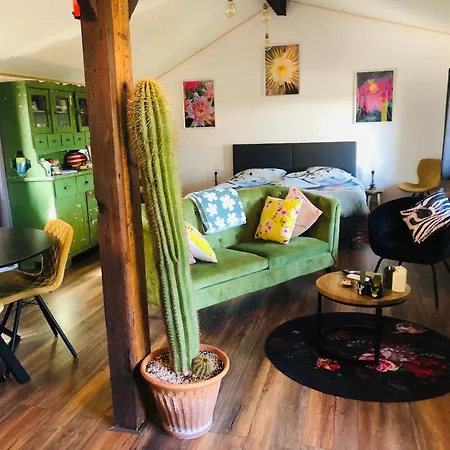 Bed & Breakfast B &b Yuupke Noord-limburg Venlo Roermond 4*