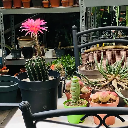 B &b Yuupke Noord-limburg Venlo Roermond Bed & Breakfast Maasbree