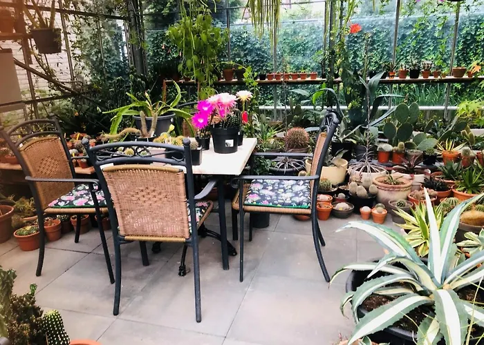 B &b Yuupke Noord-limburg Venlo Roermond Maasbree