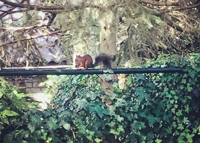 B &b Yuupke Noord-limburg Venlo Roermond Bed & Breakfast